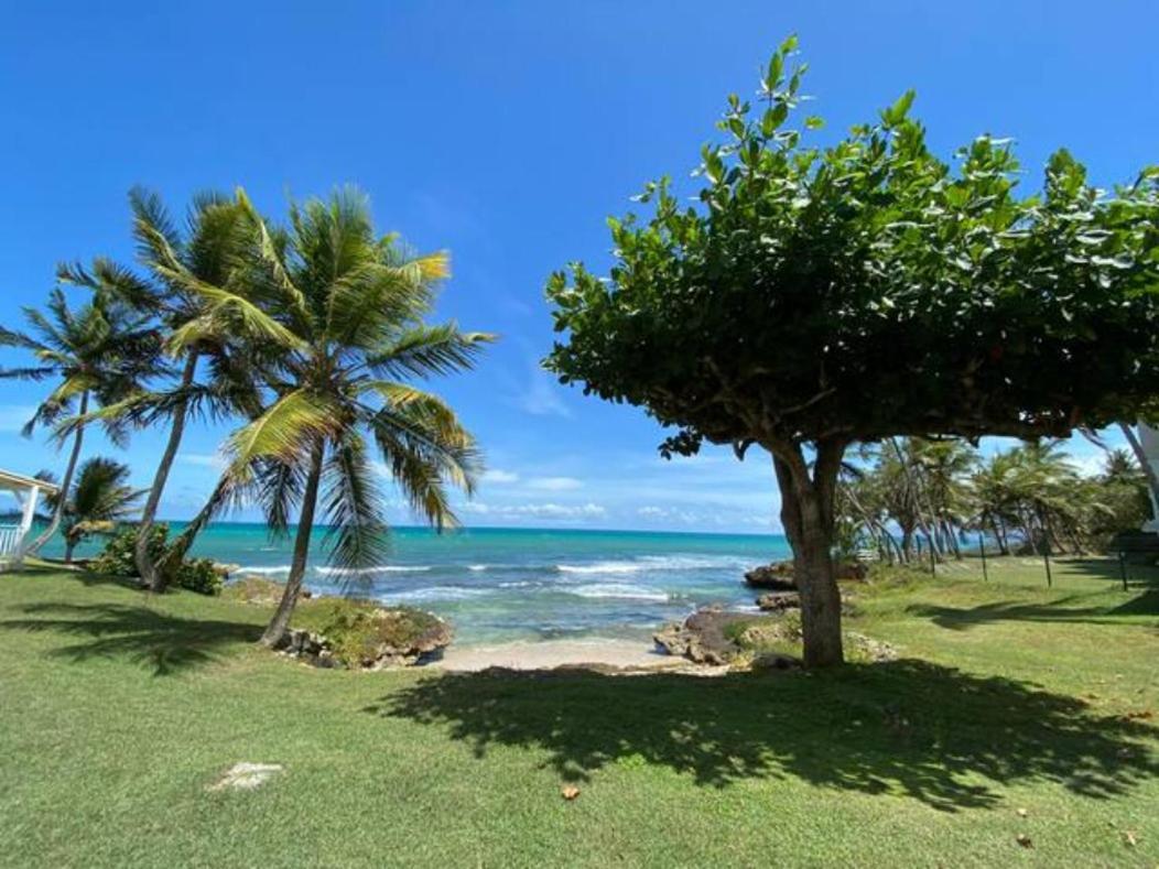 Reves Bleus * Le Gosier (Grande-Terre)