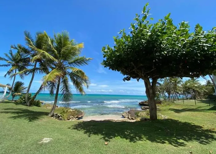 Magnifique appartement bord de mer
