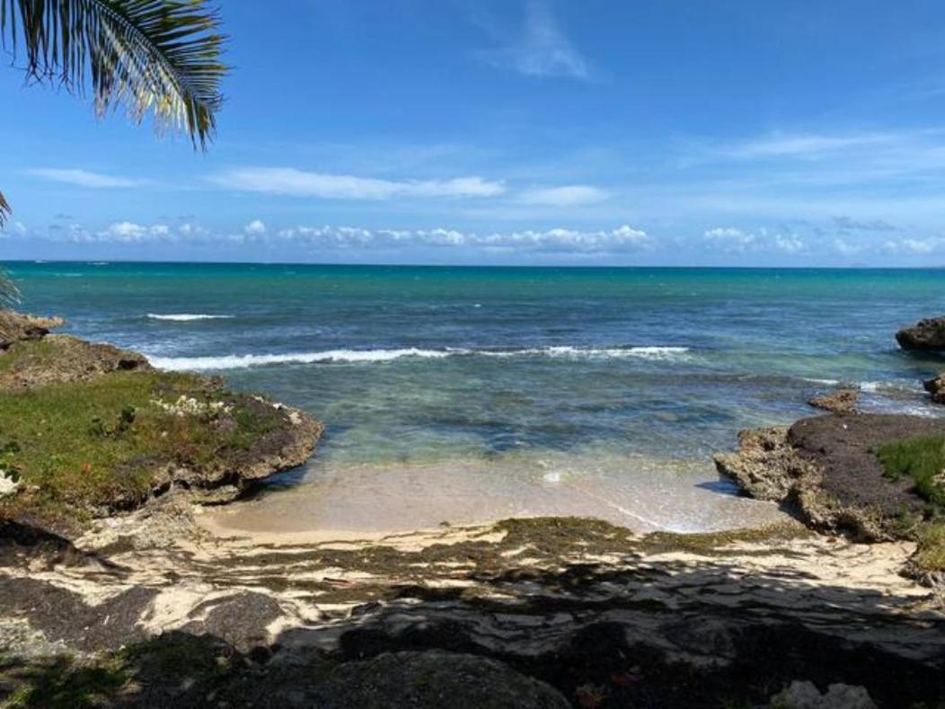 Appartement Magnifique Bord De Mer Le Gosier (Grande-Terre)